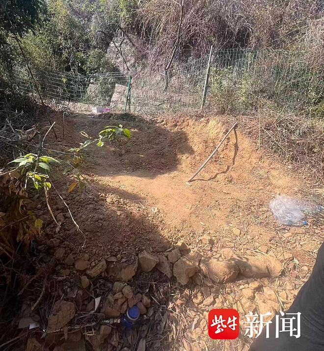 一年9.9元租地种菜？网友称被租地后的隐形账单“劝退”（组图） - 3