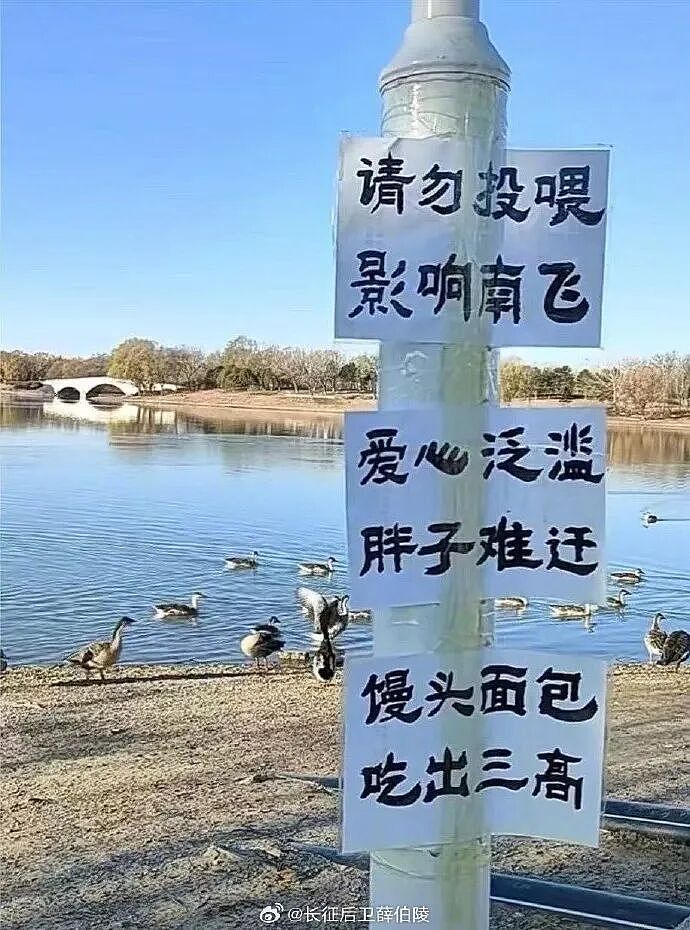 【爆笑】前男友给我支付宝里转了1040块钱，然后又要我还回去（组图） - 26