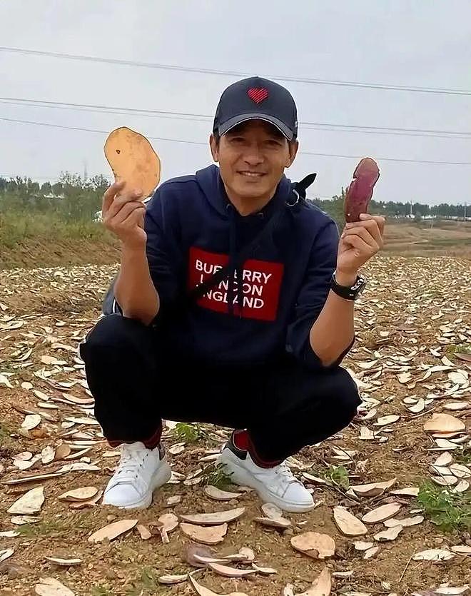 明星回村，全员“出厂设置”：任敏拔白菜，程莉莎赶大集，太真实（组图） - 11