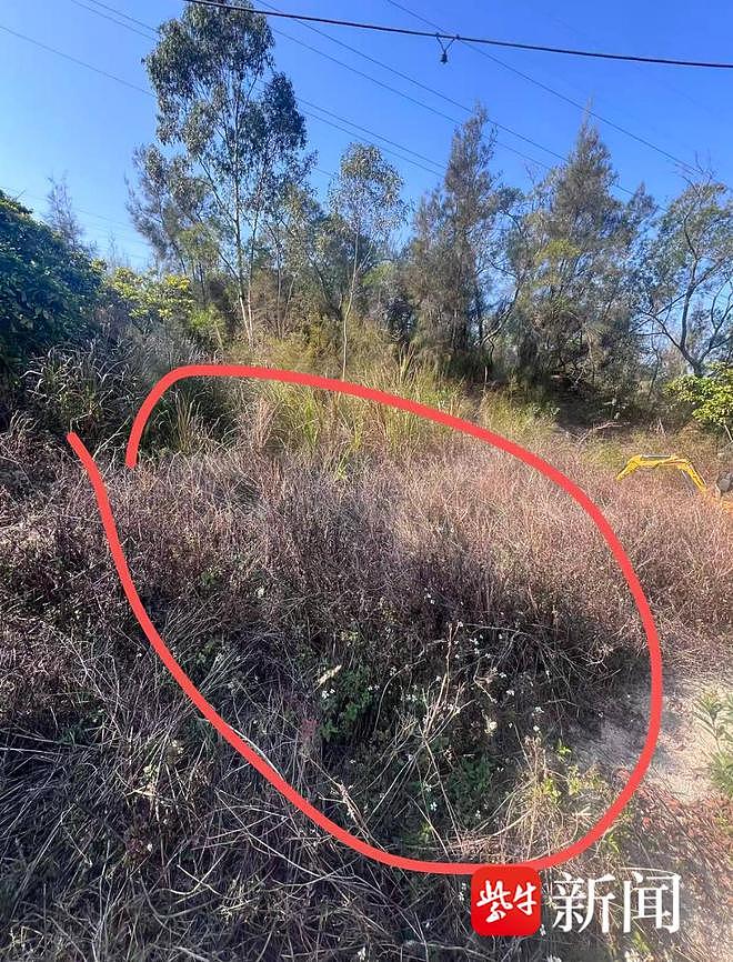 一年9.9元租地种菜？网友称被租地后的隐形账单“劝退”（组图） - 2