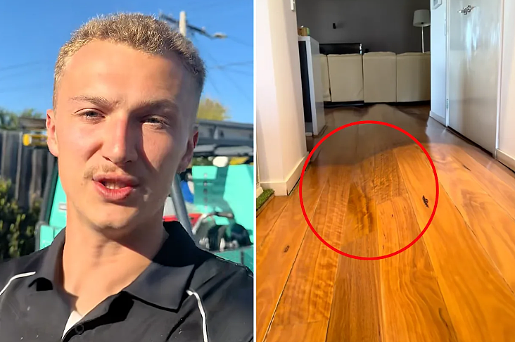 白损失10万!墨东区家庭度假3周回家,家中出现大麻烦!水管工警告(组图) - 2