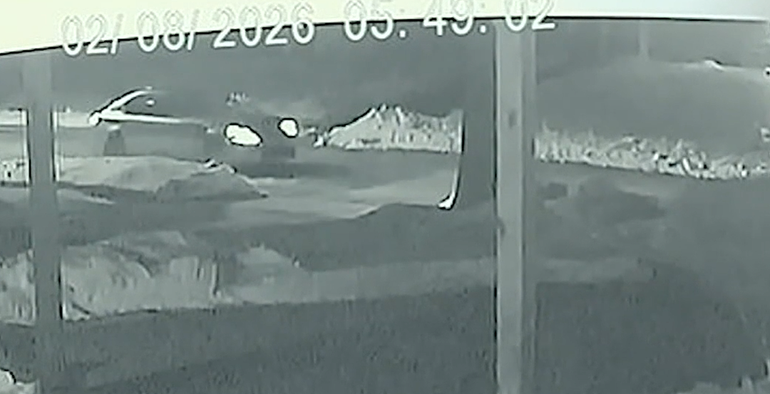 恐怖！华女遭男友爆头惨死，一天前刚遭性侵 ！“她把我们的猫狗都带走了”（组图） - 3