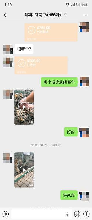 网红幼虎去世后被“替身”直播，死亡7天后饲养员称“正晒太阳”？信息上报、跨园转运真相成谜（组图） - 3
