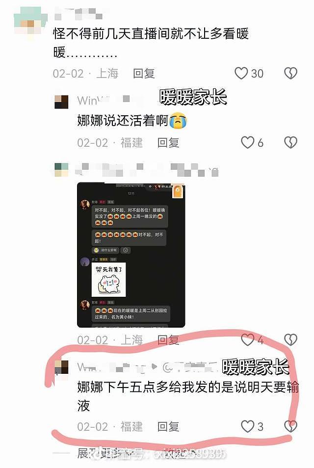 网红幼虎去世后被“替身”直播，死亡7天后饲养员称“正晒太阳”？信息上报、跨园转运真相成谜（组图） - 8