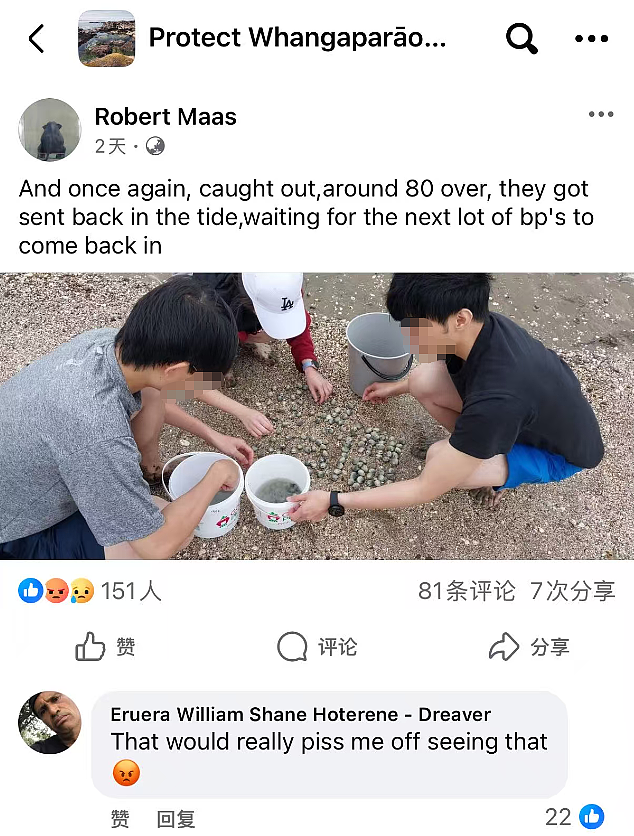 “北京烤鸭大举入侵！”新西兰部长一句话引爆舆论，矛头指向华人！赶海禁令已发布（组图） - 22