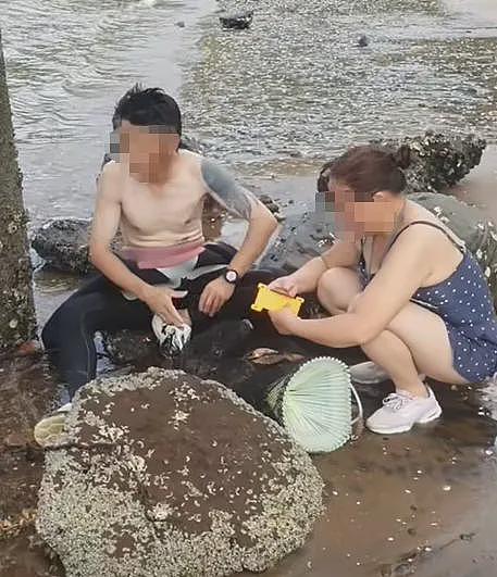 “北京烤鸭大举入侵！”新西兰部长一句话引爆舆论，矛头指向华人！赶海禁令已发布（组图） - 20