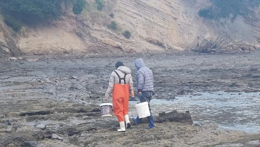 “北京烤鸭大举入侵！”新西兰部长一句话引爆舆论，矛头指向华人！赶海禁令已发布（组图） - 6