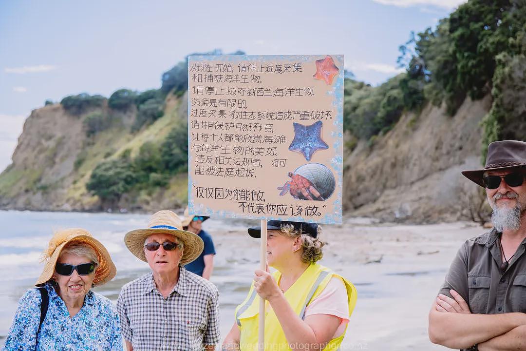 “北京烤鸭大举入侵！”新西兰部长一句话引爆舆论，矛头指向华人！赶海禁令已发布（组图） - 16