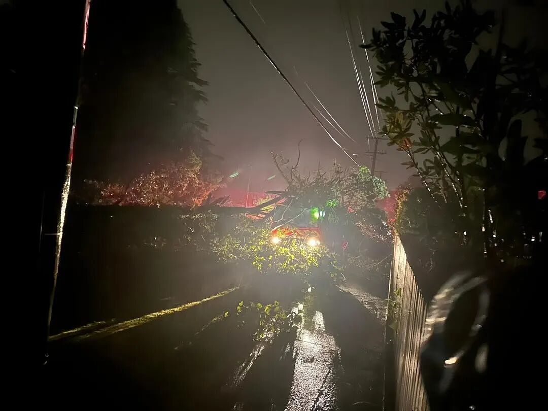 新西兰北岛多地险情,超3万户停电;政府部门办公室租金高,负责人日薪920纽币;复苏?货运公司半年利润增长(组图) - 7