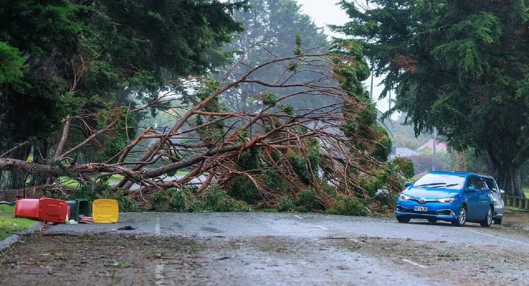 新西兰北岛多地险情,超3万户停电;政府部门办公室租金高,负责人日薪920纽币;复苏?货运公司半年利润增长(组图) - 4