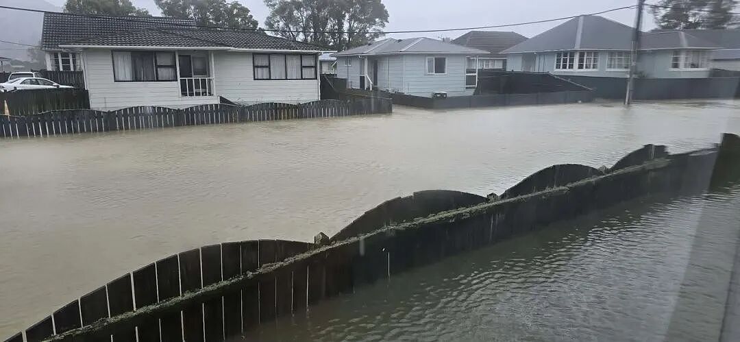 新西兰北岛多地险情,超3万户停电;政府部门办公室租金高,负责人日薪920纽币;复苏?货运公司半年利润增长(组图) - 5