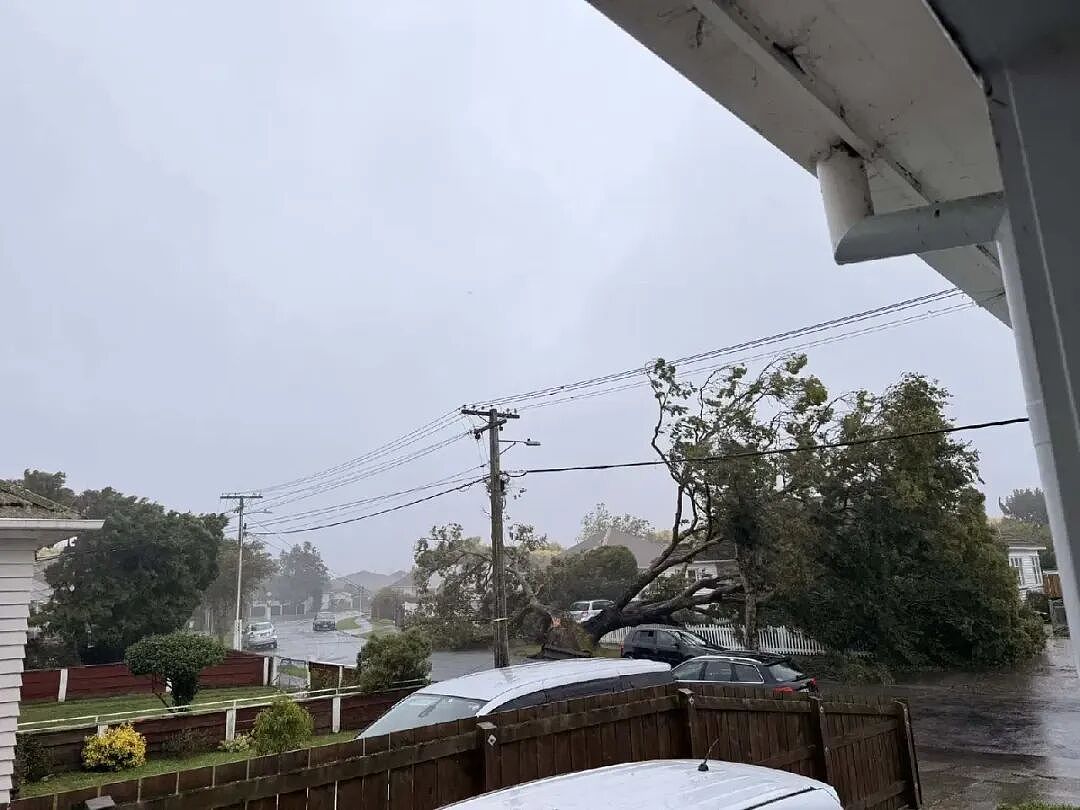 新西兰北岛多地险情,超3万户停电;政府部门办公室租金高,负责人日薪920纽币;复苏?货运公司半年利润增长(组图) - 11