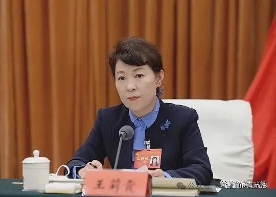 被称正部级“时装女王”,高官终于落马(组图) - 22