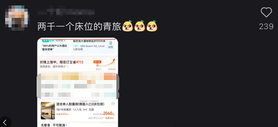 春节来新加坡旅游,被自己穷笑了:酒店一晚1.6万、入境被罚6000、一顿饭2000...(组图) - 7