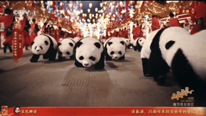 曾前往墨尔本做测试，昨晚订单大增，春晚后，机器人卖爆了（组图） - 8