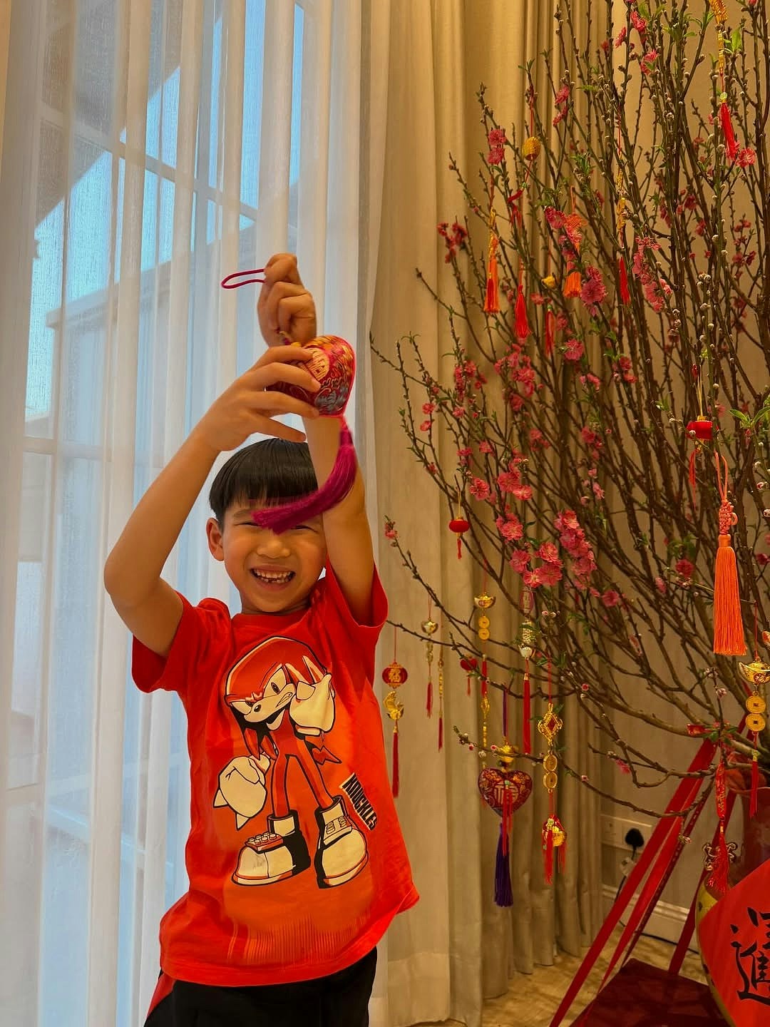 胡杏儿又一年返围村上香祭祖，晒豪宅阔落客厅摆年花团年饭劲丰盛（组图） - 11