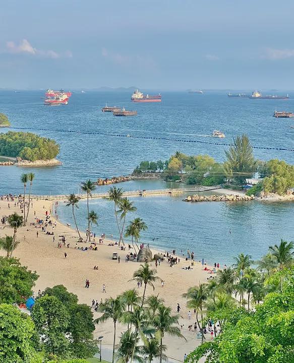 春节来新加坡旅游,被自己穷笑了:酒店一晚1.6万、入境被罚6000、一顿饭2000...(组图) - 40