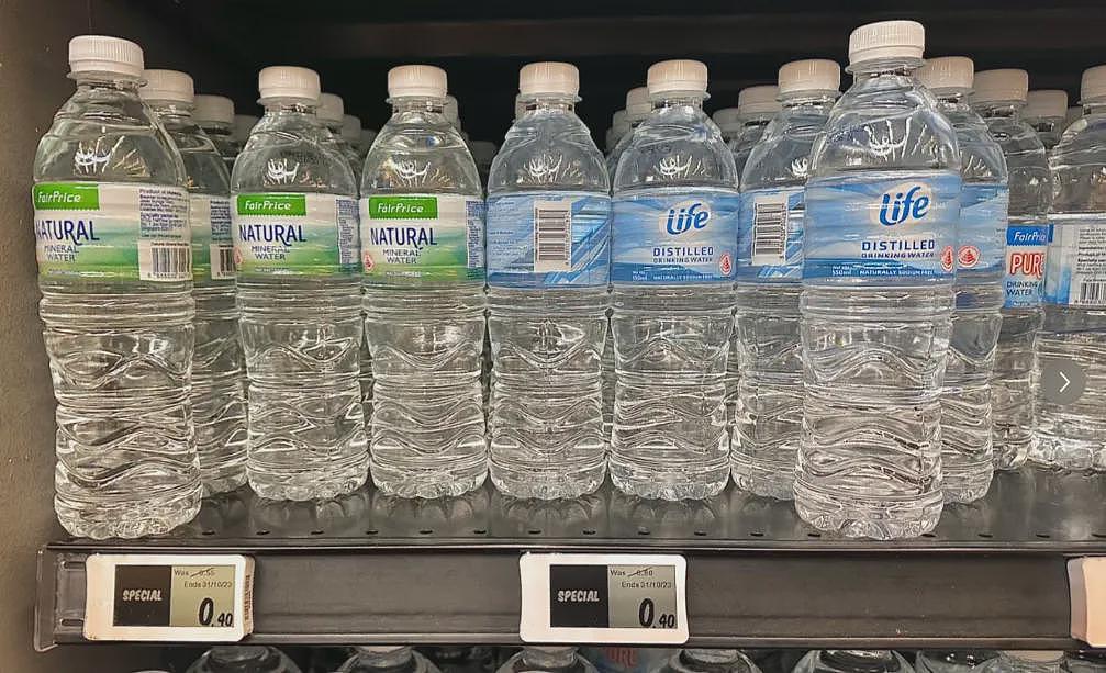 春节来新加坡旅游,被自己穷笑了:酒店一晚1.6万、入境被罚6000、一顿饭2000...(组图) - 24