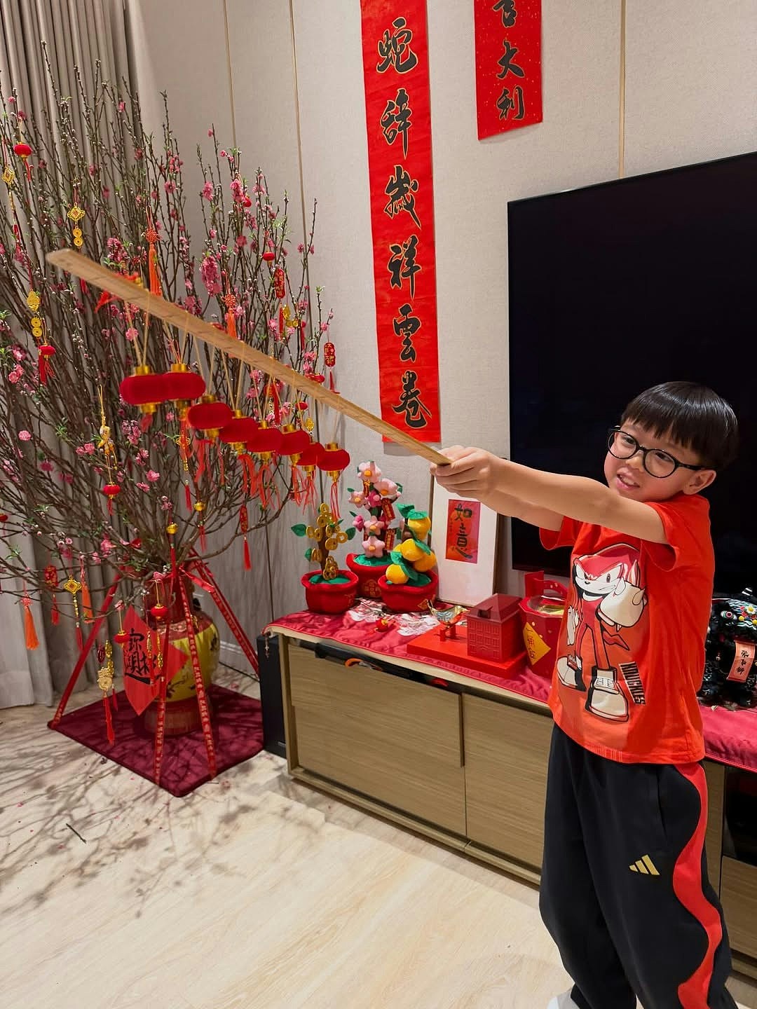 胡杏儿又一年返围村上香祭祖，晒豪宅阔落客厅摆年花团年饭劲丰盛（组图） - 13