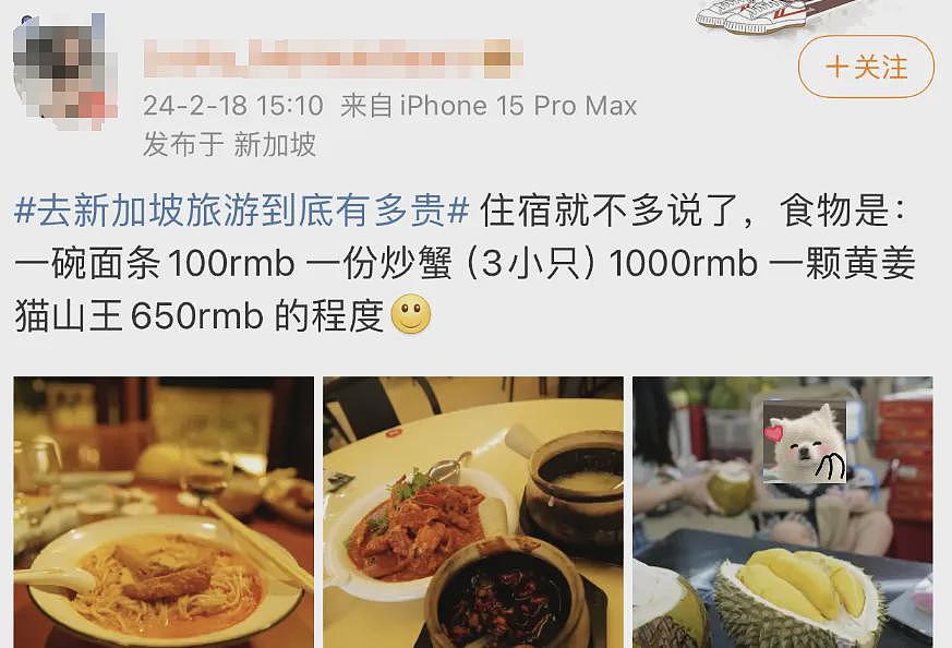 春节来新加坡旅游,被自己穷笑了:酒店一晚1.6万、入境被罚6000、一顿饭2000...(组图) - 11