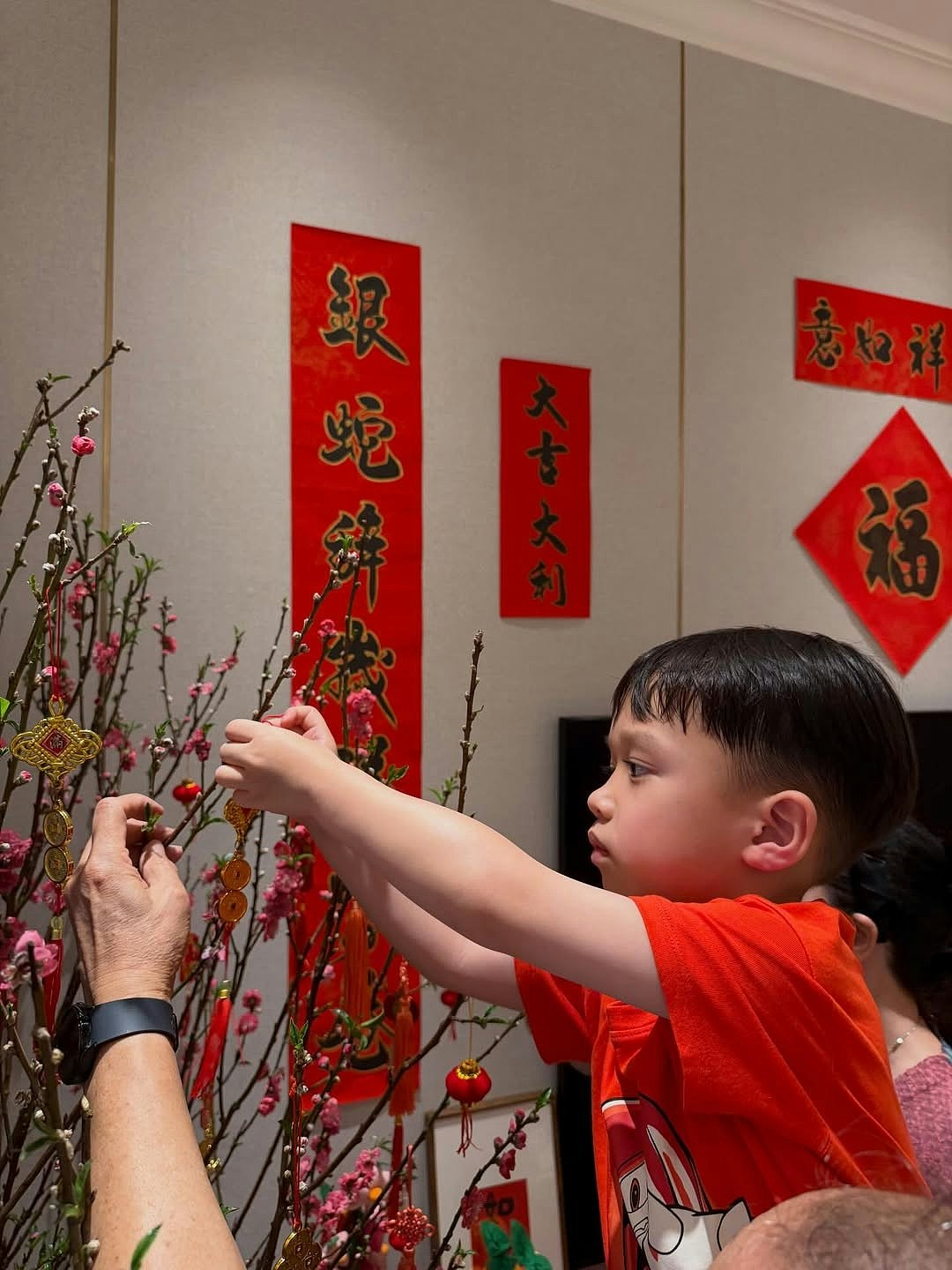 胡杏儿又一年返围村上香祭祖，晒豪宅阔落客厅摆年花团年饭劲丰盛（组图） - 12