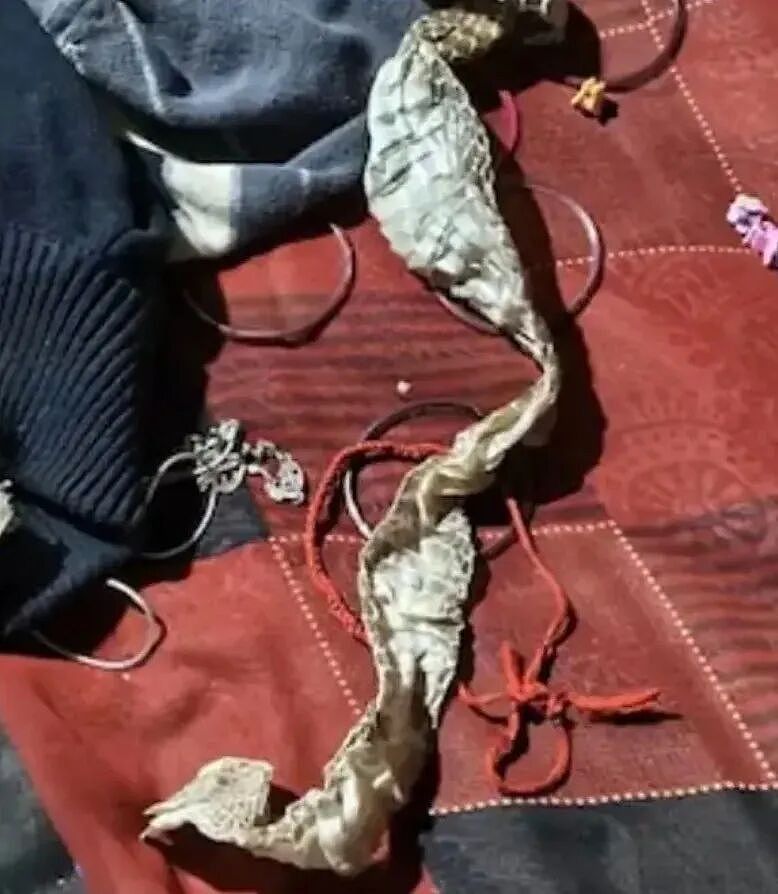 大事不好，新娘变成蛇精飞走了？？人没了，床上只剩一张蛇皮… 十几天后，真相大白…（组图） - 1