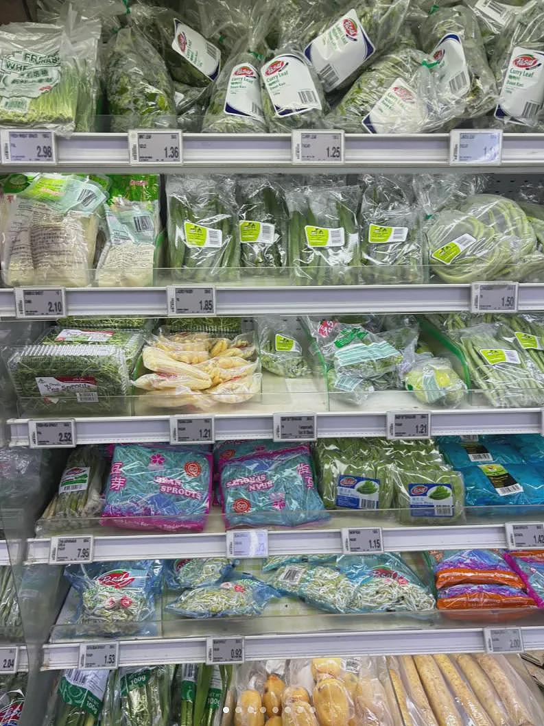 春节来新加坡旅游,被自己穷笑了:酒店一晚1.6万、入境被罚6000、一顿饭2000...(组图) - 25