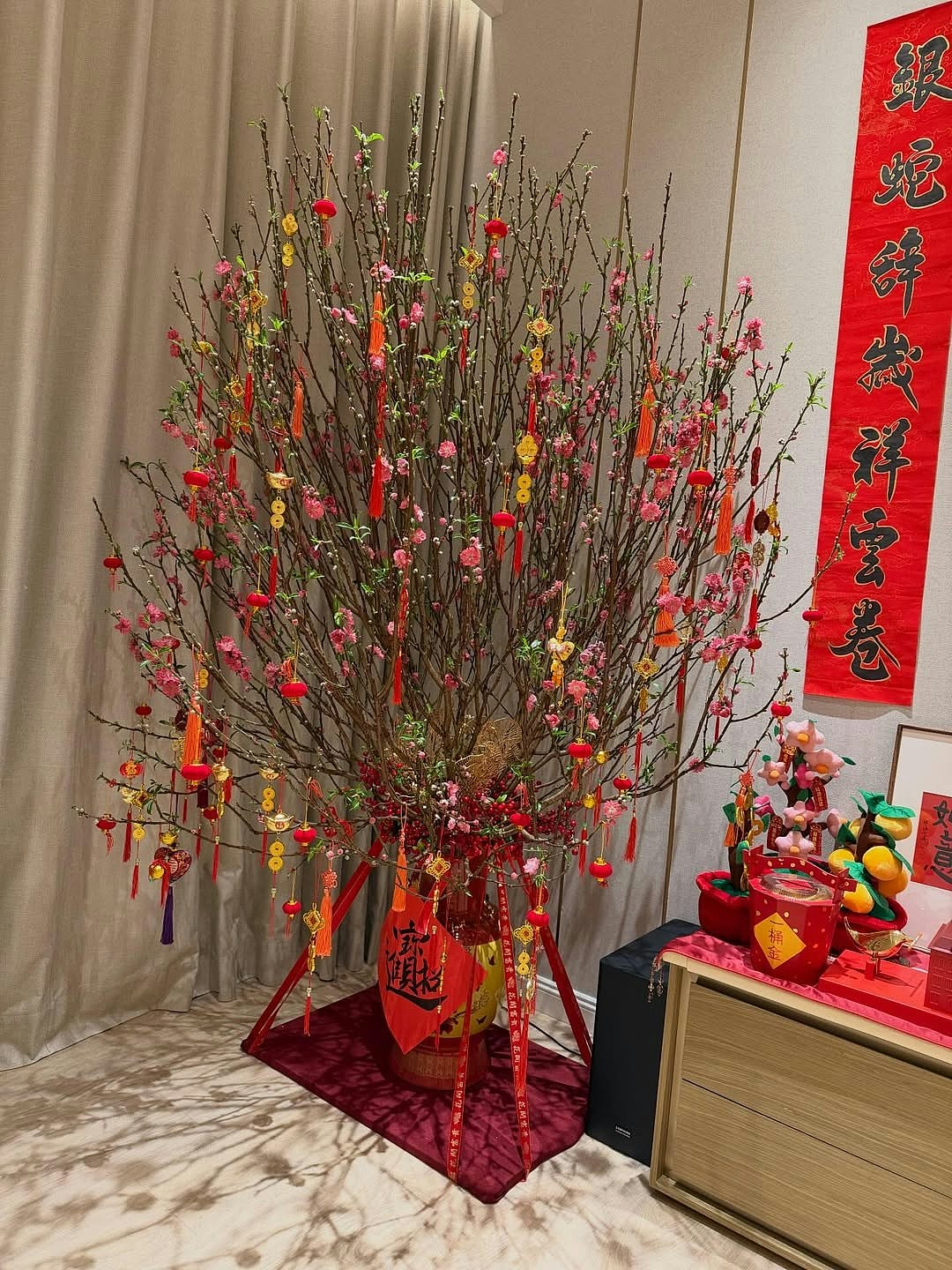 胡杏儿又一年返围村上香祭祖，晒豪宅阔落客厅摆年花团年饭劲丰盛（组图） - 16