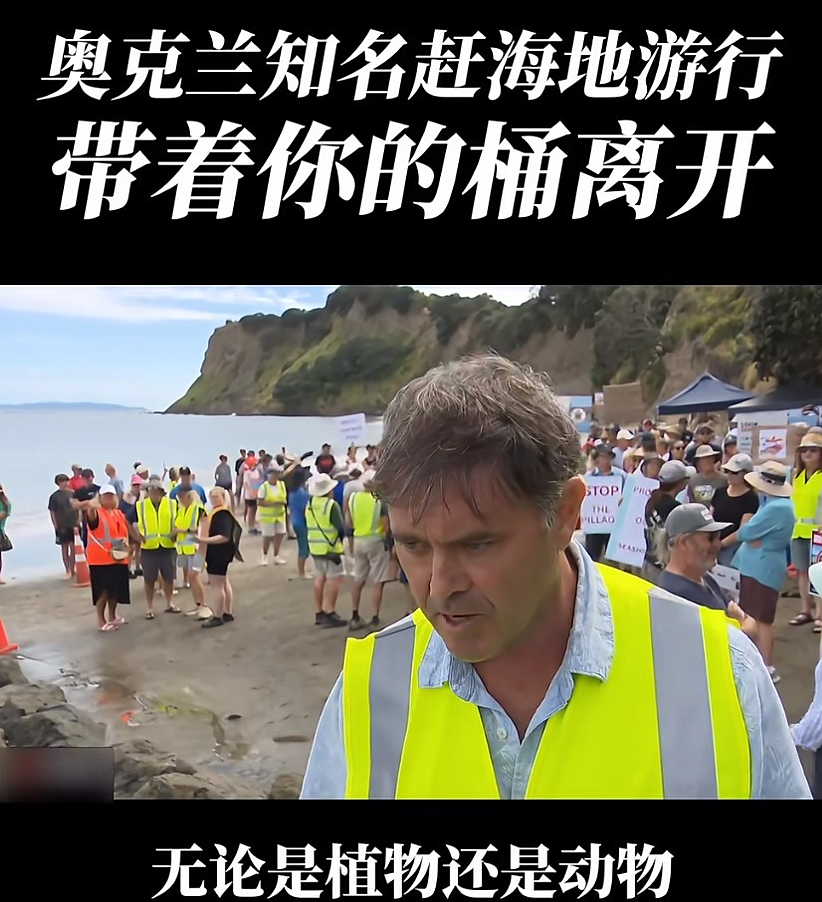 新西兰宣布赶海禁令,矛头直指华人?部长:北京烤鸭大举入侵(组图) - 7