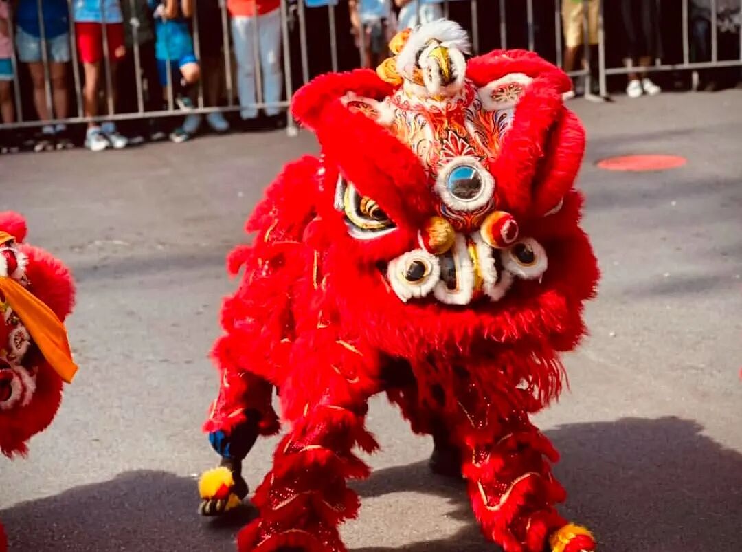 “感谢华人贡献！”中文再次响彻新西兰国会！NZ总理“喊话”华社：“马年吉祥（组图） - 18