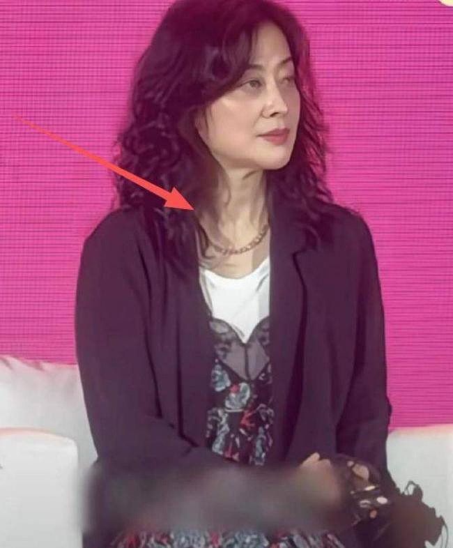 路边照上热搜：50岁梅婷视觉年龄63岁！网喊心酸（组图） - 4