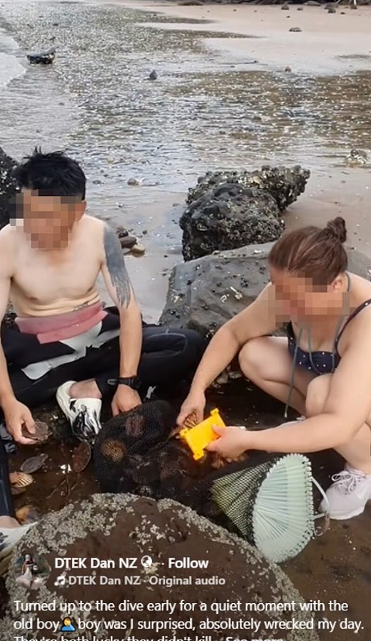 新西兰宣布赶海禁令,矛头直指华人?部长:北京烤鸭大举入侵(组图) - 6