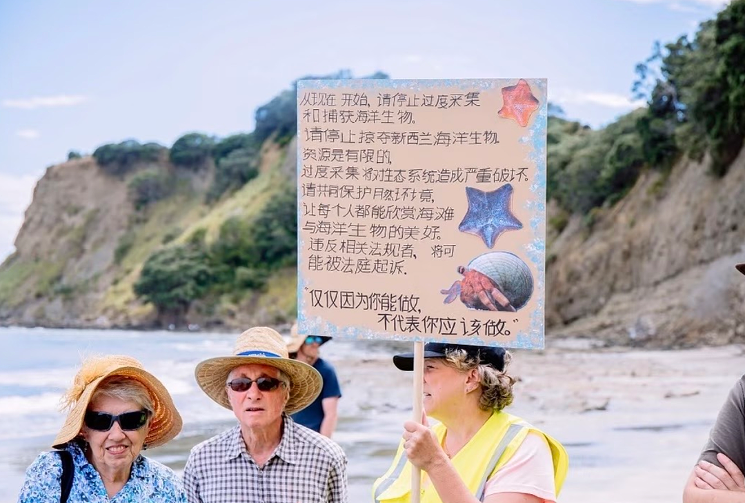 新西兰宣布赶海禁令,矛头直指华人?部长:北京烤鸭大举入侵(组图) - 8