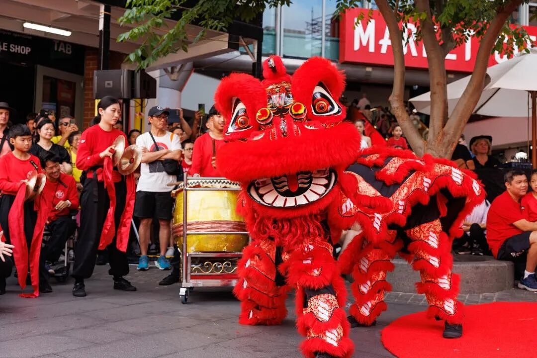 悉尼市农历新年免费活动 ，看舞狮和市政厅文化表演（组图） - 2