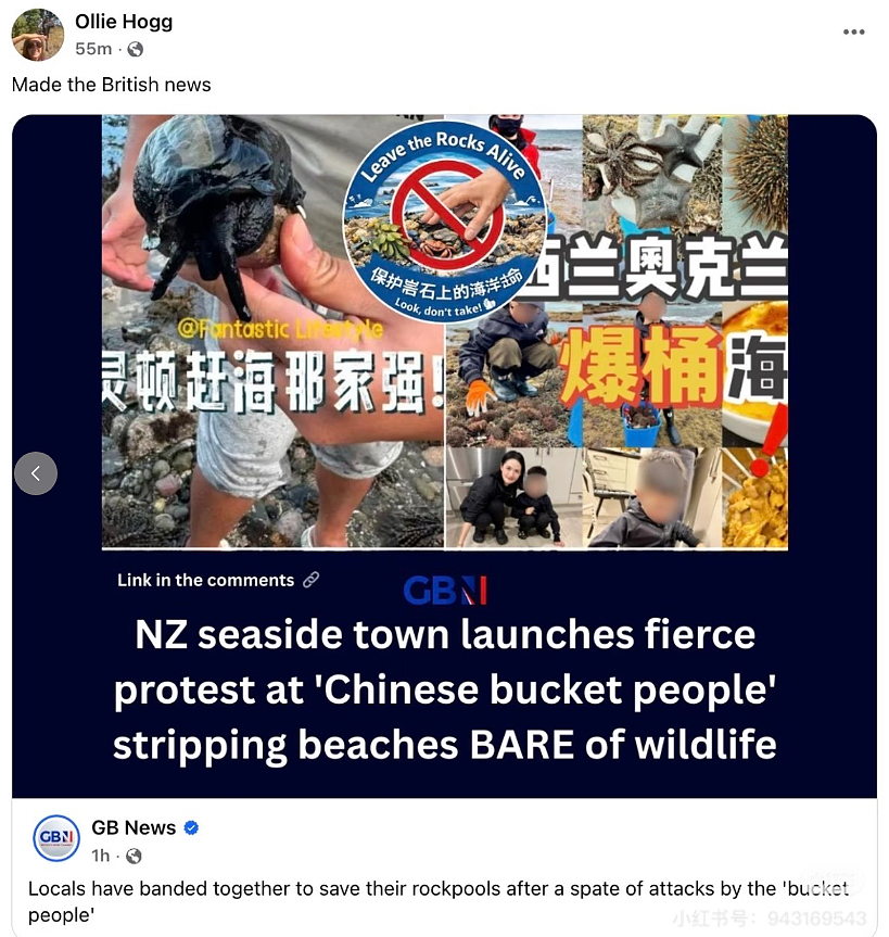新西兰宣布赶海禁令,矛头直指华人?部长:北京烤鸭大举入侵(组图) - 4