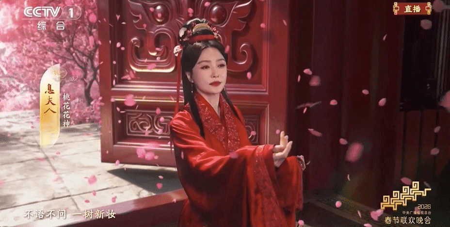 “以前只是没年味,现在人味都没了”马年春晚收视与争议齐飞,国风封神,语言类遭“吊打”(组图) - 4
