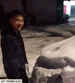 【爆笑】“拯救不开心！”一波笑到抽风的动图，差点笑到断气哈哈哈哈哈哈哈（组图） - 8