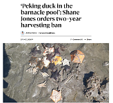 新西兰赶海禁令针对华人？部长：北京烤鸭大举入侵