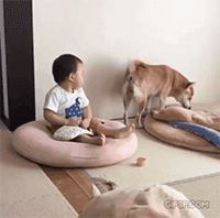 【爆笑】“拯救不开心！”一波笑到抽风的动图，差点笑到断气哈哈哈哈哈哈哈（组图） - 25