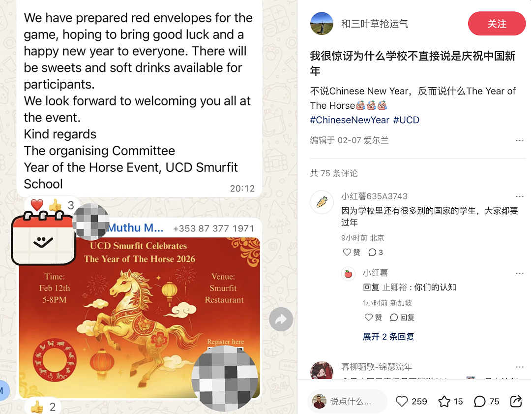 这个除夕夜,好多留学生在海外捍卫“中国春节”(组图) - 6