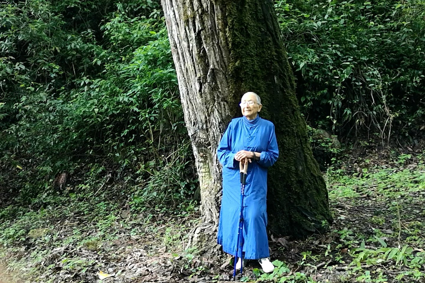揭故宫假画被封杀40年！91岁艺术史学者隐居深山，活出最纯粹灵魂（组图） - 17