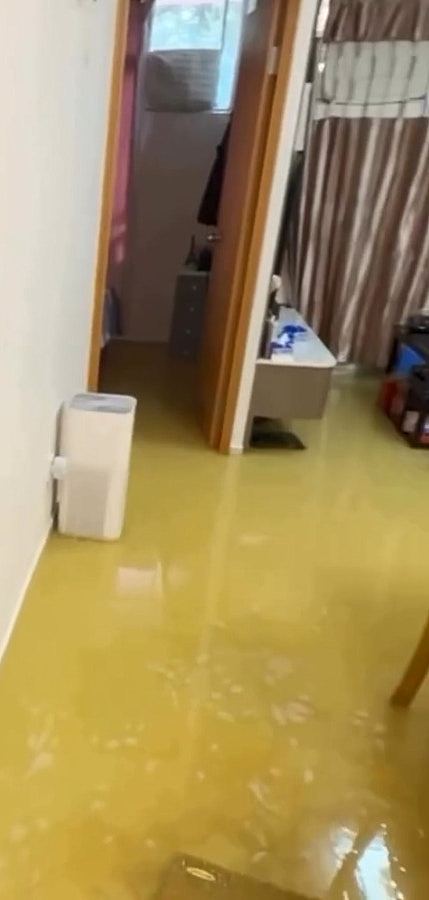 除夕低层公屋污水渠倒灌，全屋浸满屎水！住户过年满面愁容（视频/组图） - 2