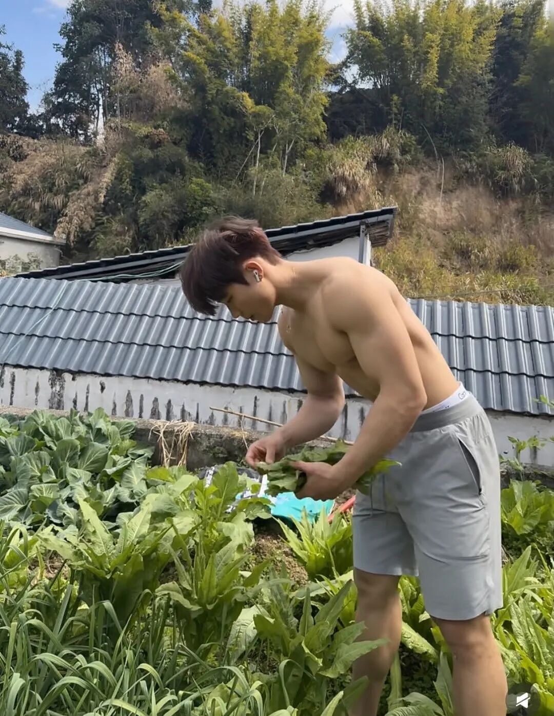 【帅哥】188田园糙汉小狼狗,精壮腹肌穿CK内裤超诱人....(组图) - 10