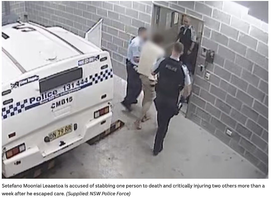 都听说了吧?悉尼精神病院跑出来病人,造3死2重伤!新州州长:全搞砸了...(组图) - 4