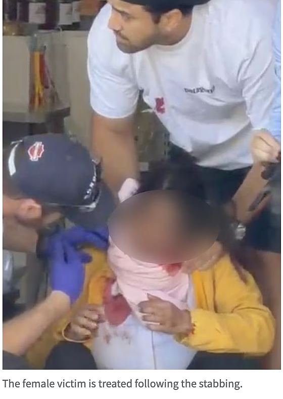都听说了吧?悉尼精神病院跑出来病人,造3死2重伤!新州州长:全搞砸了...(组图) - 6