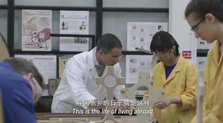 赴美留学暴跌28.6%！ 美国不留中国也不要！（组图） - 4