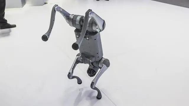 印度大学在AI峰会上宣称中国机器狗为己有,引发强烈反弹(图) - 1