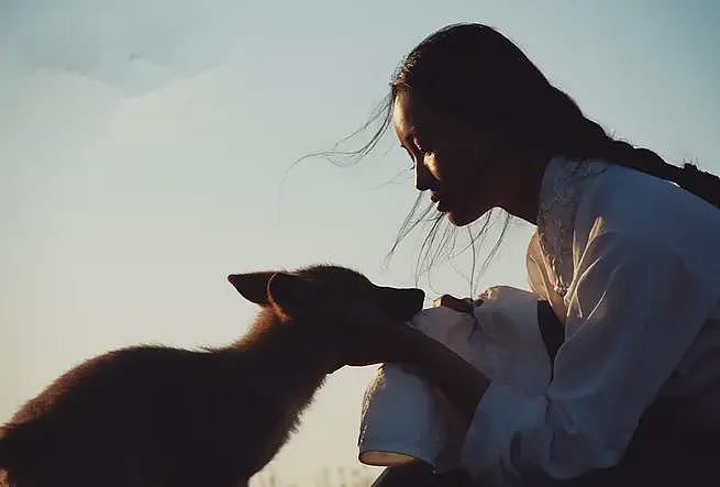 狼王遗孤被收养,放生后珍藏“妈妈”红腰带7年!网友:新年第一刀…(组图) - 2