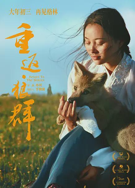 狼王遗孤被收养,放生后珍藏“妈妈”红腰带7年!网友:新年第一刀…(组图) - 1
