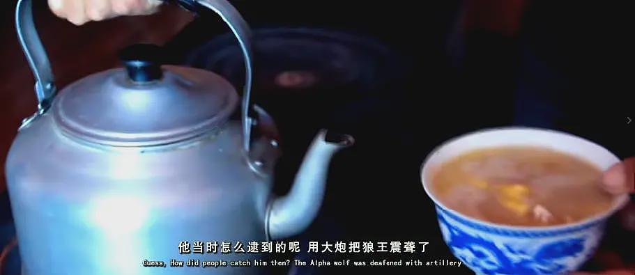 狼王遗孤被收养,放生后珍藏“妈妈”红腰带7年!网友:新年第一刀…(组图) - 5
